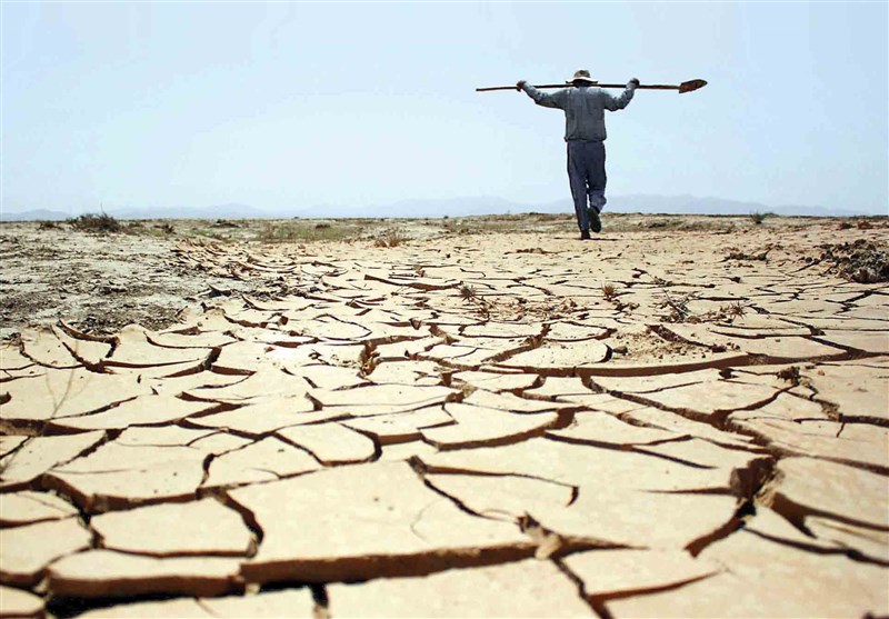 خشکسالی صنعت دامداری و بخش کشاورزی بافق را تهدید می‌کند