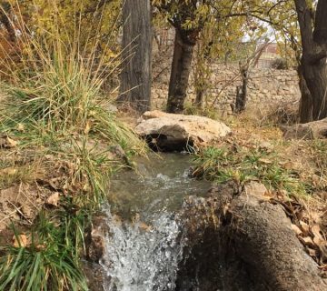 Fall1397 min 360x320