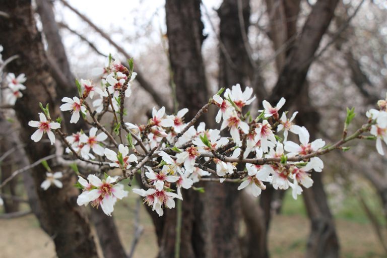 Spring ۱۳۹۸