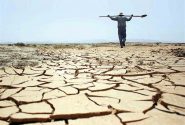 خشکسالی صنعت دامداری و بخش کشاورزی بافق را تهدید می‌کند