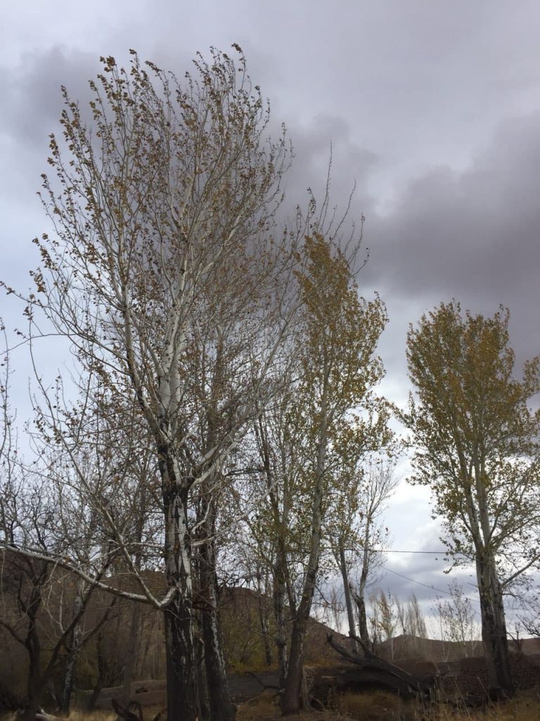پاییز ۱۳۹۷ خوسف (۷)