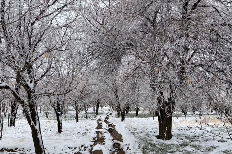 Winter۱۳۹۹ min