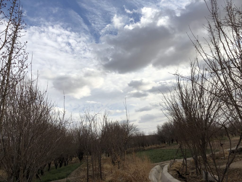 Bahman۱۳۹۷ (۱۳)