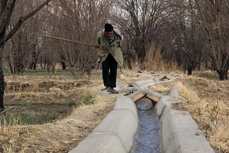 گذر پیرمرد کشاورز از زمین های کشاورزی