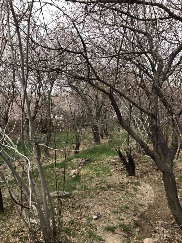 IMG ۱۵۲۴